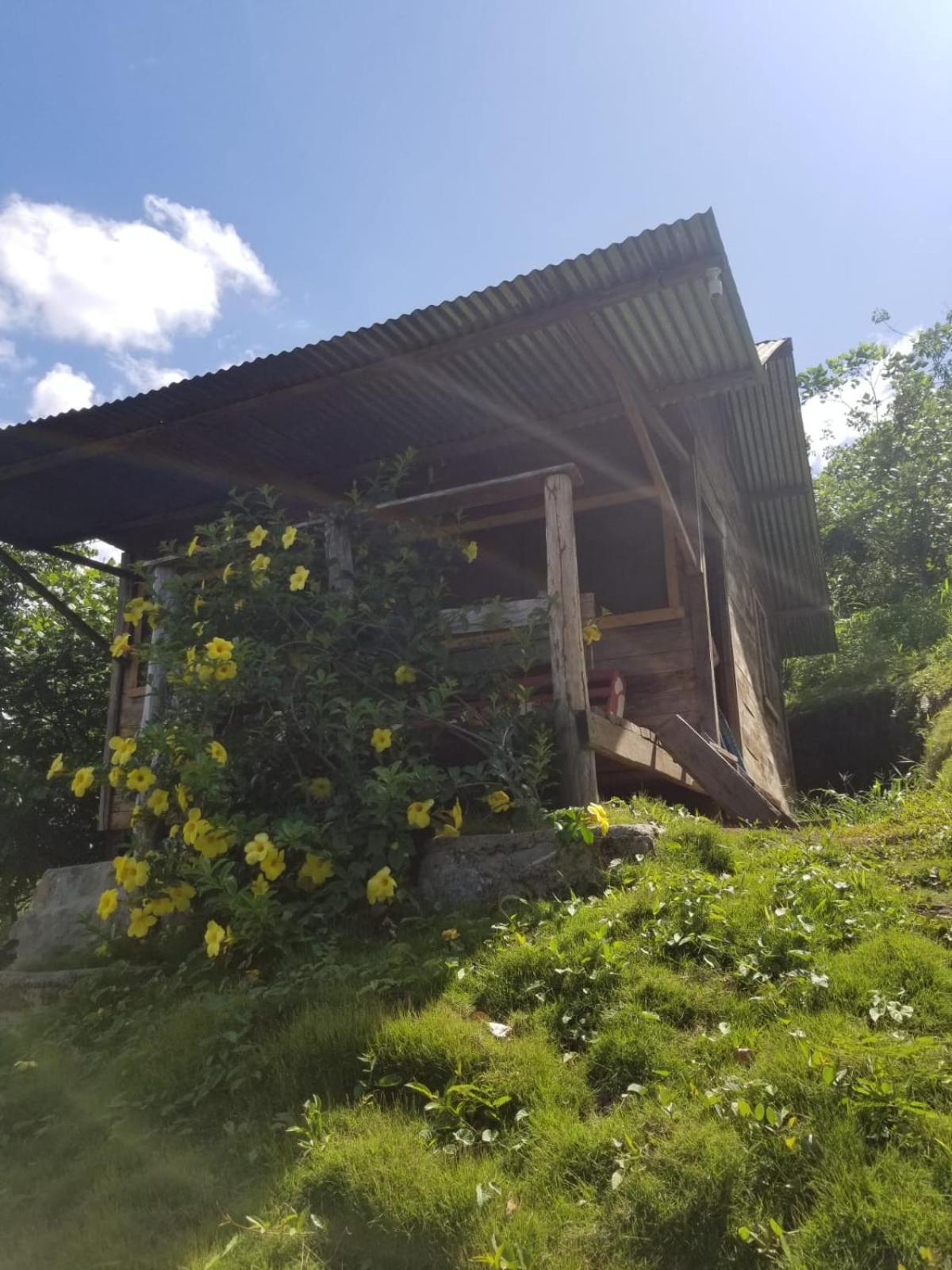 Ch'I Bocol Community Hostel Lanquín Kültér fotó